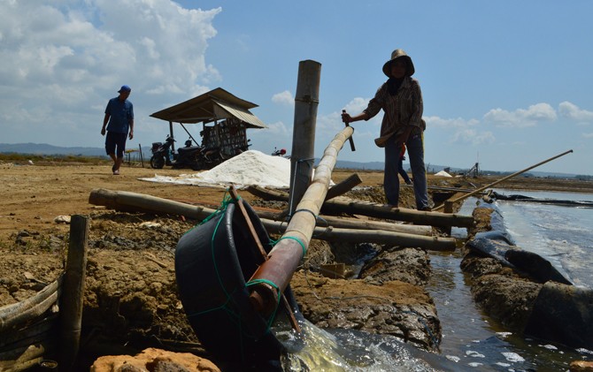 Harga Garam Menurun Petani Tetap Memproduksi Garam