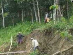 Hujan Lebat Seharian, Tebing Tanah Di Sampang Longsor