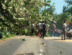 Jika Terindikasi Penebangan Pohon Ilegal, Polsek Saronggi Dorong Agar Dilaporkan