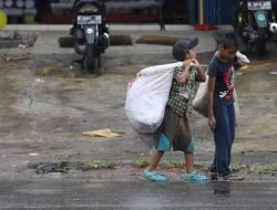 Kesadaran Masyarakat Minim, Ribuan Anak Usia Dini Di Sumenep Milih Bekerja