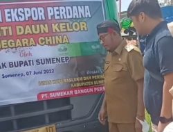 Ruang Bisnis Daun Kelor Asal Sumenep Menjanjikan, Bupati Lepas 200 Ton Pengiriman ke Cina