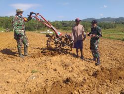 Danramil 0827/13 Rubaru Tinjau Peninjauan Dan Pengolahan Lahan Guna Persiapkan Tanam Cabe