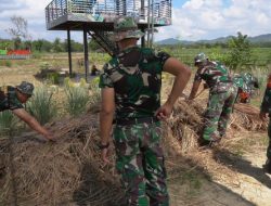 Bangun Ketahanan Pangan, Anggota Kodim 0827/Sumenep Lakukan Pembersihan di Lahan Wisata Tani