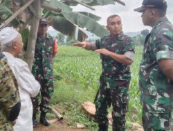 Dandim Sumenep Dorong Optimalkan  Lahan Tidur Menjadi Sentra Jagung