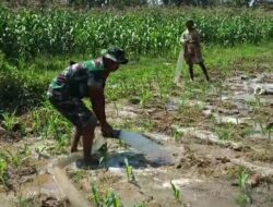 Petani di Lenteng Terima Manfaat Alsintan Pompa Air Brigade