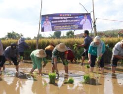 Penanaman Padi, Program Unggulan KASAD Jadi Sasaran Tambahan TMMD 121