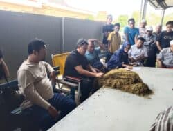 Perdana, Gudang Tembakau di Kecamatan Ganding Melakukan Pembelian