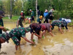 Gerakan Tanam Padi Melalui Sumur Bor Dorong Produktivitas di Batang Batang