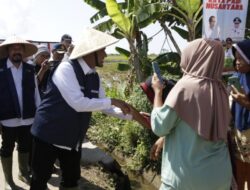 Pemkab Sumenep Fasilitasi Asuransi Ketenagakerjaan Gratis Bagi Petani Tembakau