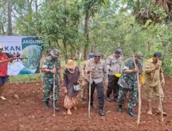 Babinsa Bersama DKPP Sumenep Lakukan Gerakan Tanam Jagung