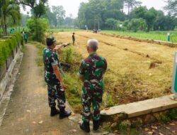 Dukung Program MBG, Kodim 0827/Sumenep Siapkan Lahan Kebun