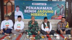 Kasdim 0827/Sumenep Ikut Gerakan Penanaman Jagung Hibrida Bersama Gerbang Tani