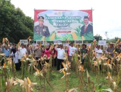 Kasdim Sumenep Lakukan Panen Raya Jagung Tahap 1 di Ganding