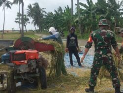 Panen Padi di Pragaan, Sinergi TNI dan Petani Dorong Swasembada Pangan Nasional